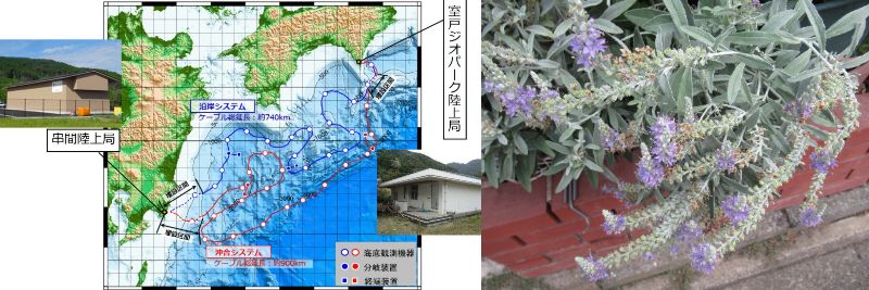 60代 なるようになるさ!なんとかなるさ!なんとかするさ!