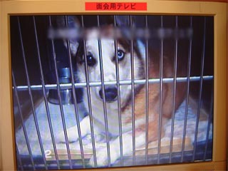 摜3
