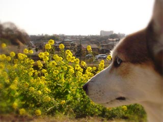 摜3
