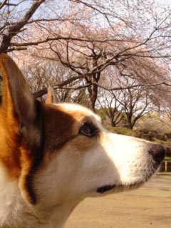 摜3