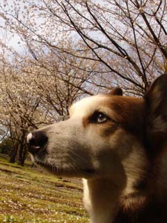 摜5