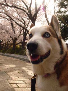 摜3