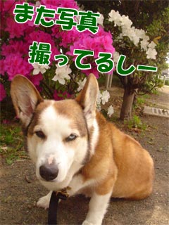 摜3