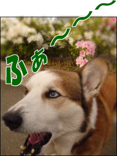 摜7