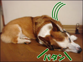 摜3