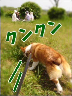 摜2