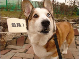 摜3