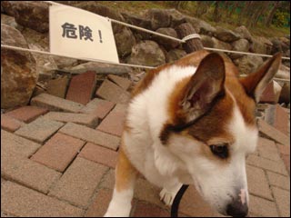 摜4