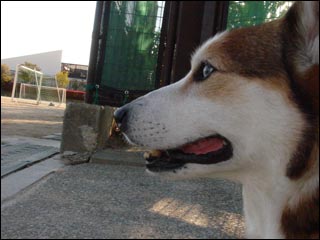 摜6