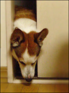 摜4