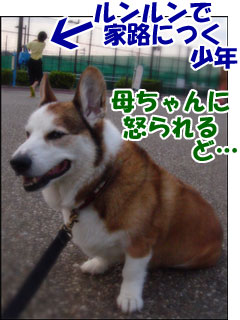 摜6