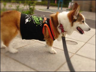 摜1