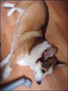 摜3