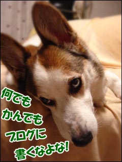 摜4