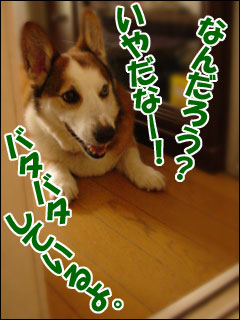 摜2
