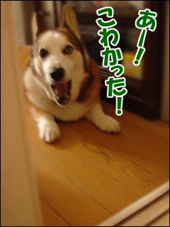 摜3