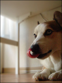摜4