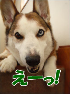 摜3