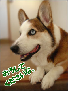 摜4