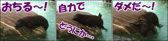 摜4