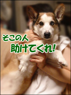 摜4