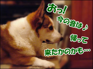 摜3