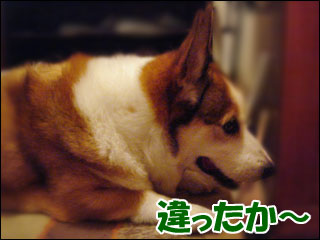 摜4