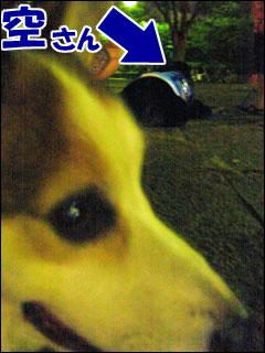 摜3