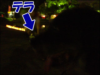 摜4