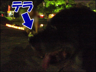 摜5