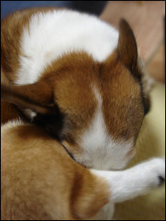 摜3