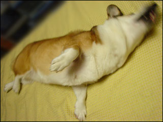 摜4