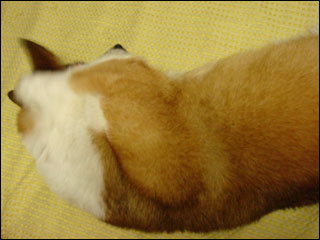 摜5