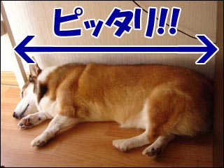 摜2