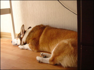 摜3