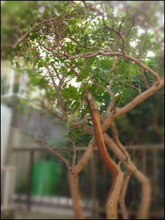 摜1