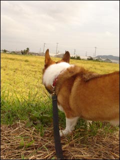 摜4
