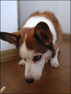 摜3