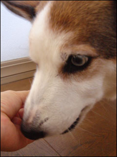 摜5