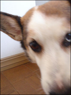 摜6