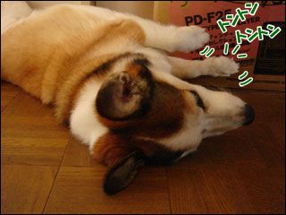 摜3
