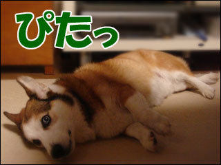 摜4