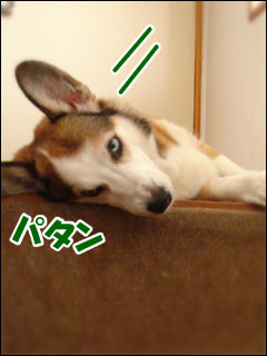 摜5