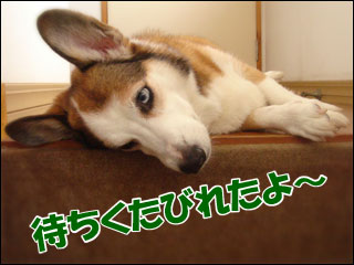 摜6