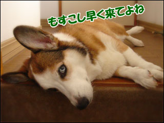 摜7