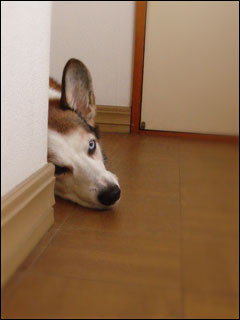 摜3