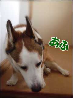 画像4
