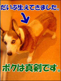 摜4