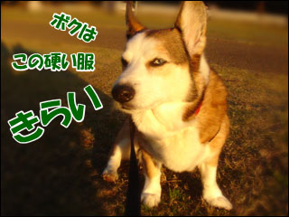 摜6