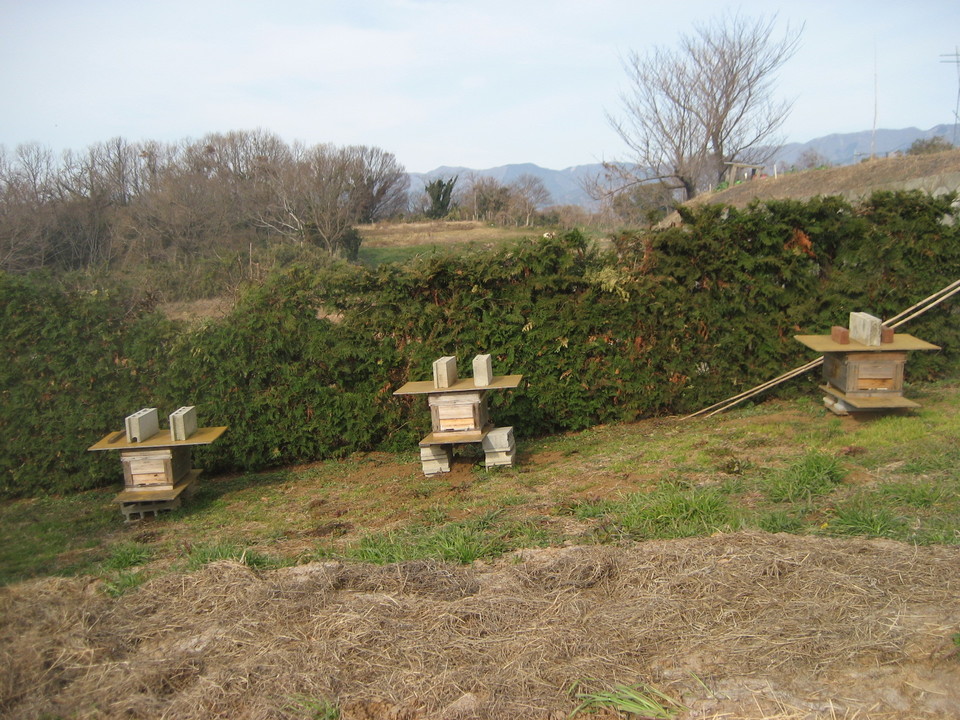 �Ԃ�Ԃ�j���[�X